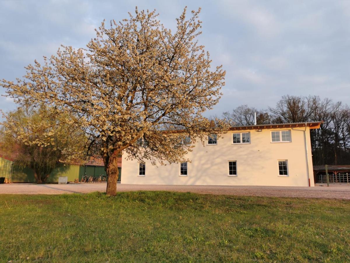 Ferienwohnung Gestuet Von Erden Хаслох Экстерьер фото